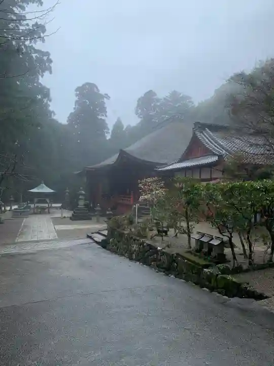 金剛證寺の{uncategorized: "未分類", other: "その他", undefined: "問題あり", building: "その他建物", grave: "お墓", sacred_gate: "鳥居", guardian: "狛犬", statue: "像", buddha: "仏像", history: "歴史", nature: "自然", garden: "庭園", animal: "動物", pagoda: "塔", temizu: "手水舎", mountain_gate: "山門・神門", sanctuary: "本殿・本堂", subordinate: "末社・摂社", art: "芸術", scenery: "景色", jizo: "地蔵", ema: "絵馬", goshuin: "御朱印", omikuji: "おみくじ", items: "授与品その他", amulet: "お守り", goshuincho: "御朱印帳", eats: "食事", festival: "お祭り", votive_dance: "神楽", shichigosan: "七五三参", wedding: "結婚式", experience: "体験その他", initially: "初詣", around: "周辺", anti_infection: "感染症対策"}