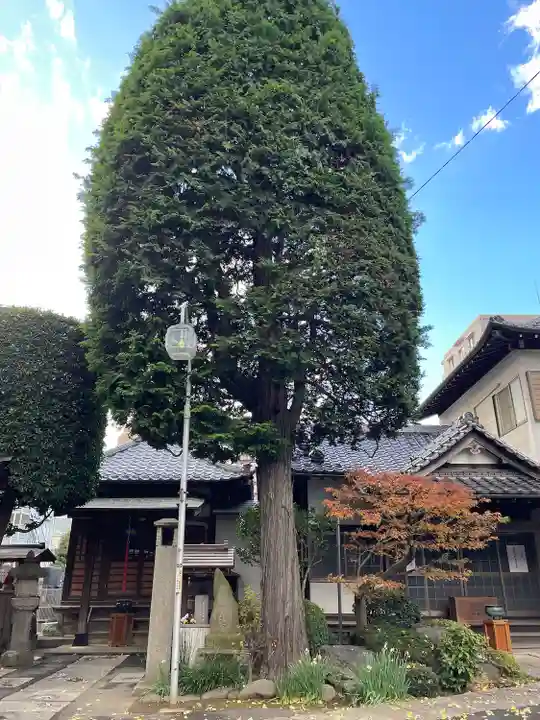 成就院(上寺)の自然