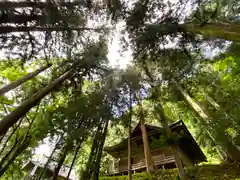 子檀嶺神社(長野県)