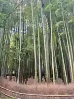 報国寺(神奈川県)