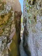 阿賀神社の自然