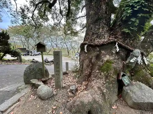 玉祖神社(大阪府)