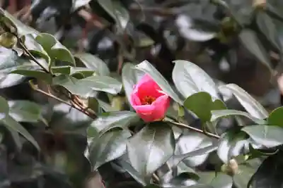 鹿島大神宮(福島県)