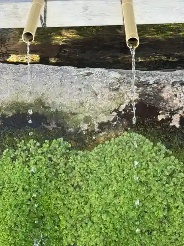 桑名宗社（春日神社）(三重県)