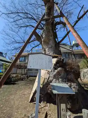 白山神社(東京都)