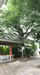 前川神社の建物その他