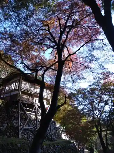 古知谷阿弥陀寺(京都府)