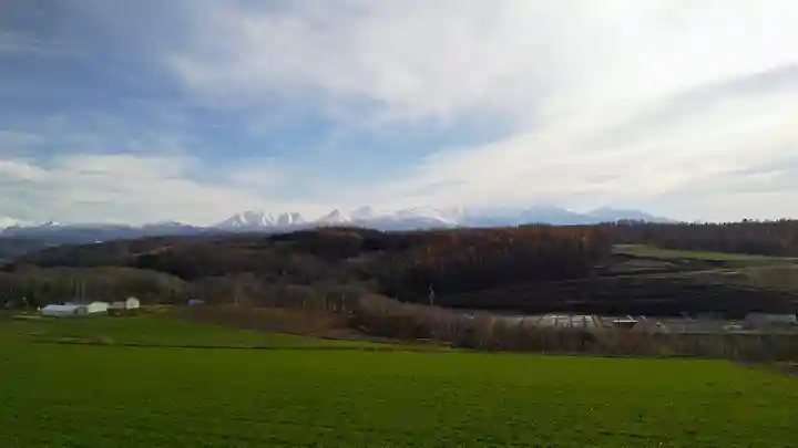 赤羽神社の景色
