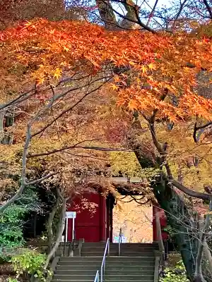 本土寺(千葉県)