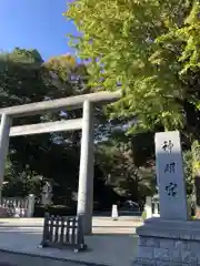 阿佐ヶ谷神明宮(東京都)