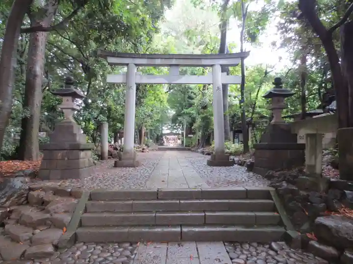 代々木八幡宮の鳥居