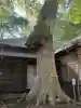 氷川女體神社の{uncategorized: "未分類", other: "その他", undefined: "問題あり", building: "その他建物", grave: "お墓", sacred_gate: "鳥居", guardian: "狛犬", statue: "像", buddha: "仏像", history: "歴史", nature: "自然", garden: "庭園", animal: "動物", pagoda: "塔", temizu: "手水舎", mountain_gate: "山門・神門", sanctuary: "本殿・本堂", subordinate: "末社・摂社", art: "芸術", scenery: "景色", jizo: "地蔵", ema: "絵馬", goshuin: "御朱印", omikuji: "おみくじ", items: "授与品その他", amulet: "お守り", goshuincho: "御朱印帳", eats: "食事", festival: "お祭り", votive_dance: "神楽", shichigosan: "七五三参", wedding: "結婚式", experience: "体験その他", initially: "初詣", around: "周辺", anti_infection: "感染症対策"}