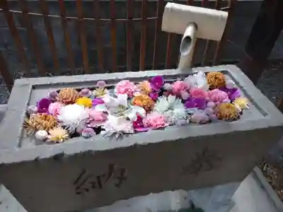 八雲神社の手水舎