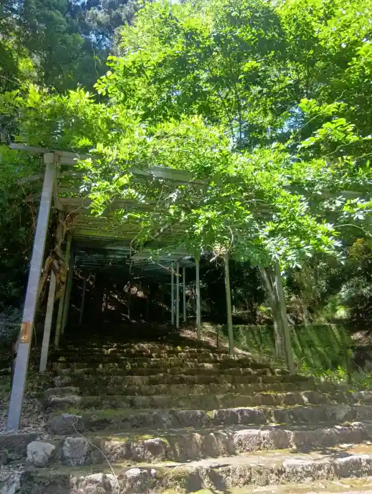 日龍峯寺(高澤観音)(美濃清水)の{uncategorized: "未分類", other: "その他", undefined: "問題あり", building: "その他建物", grave: "お墓", sacred_gate: "鳥居", guardian: "狛犬", statue: "像", buddha: "仏像", history: "歴史", nature: "自然", garden: "庭園", animal: "動物", pagoda: "塔", temizu: "手水舎", mountain_gate: "山門・神門", sanctuary: "本殿・本堂", subordinate: "末社・摂社", art: "芸術", scenery: "景色", jizo: "地蔵", ema: "絵馬", goshuin: "御朱印", omikuji: "おみくじ", items: "授与品その他", amulet: "お守り", goshuincho: "御朱印帳", eats: "食事", festival: "お祭り", votive_dance: "神楽", shichigosan: "七五三参", wedding: "結婚式", experience: "体験その他", initially: "初詣", around: "周辺", anti_infection: "感染症対策"}