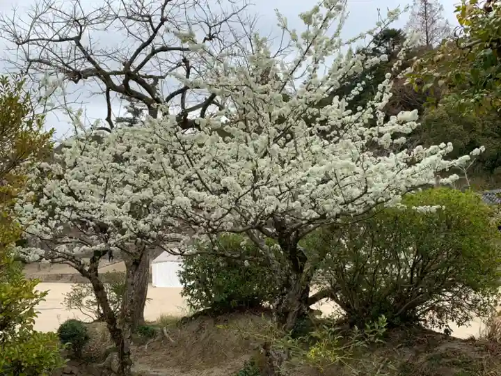吉備津神社の自然