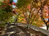 滑川神社 - 仕事と子どもの守り神(福島県)