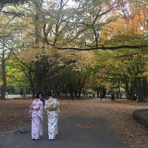 北海道神宮の景色