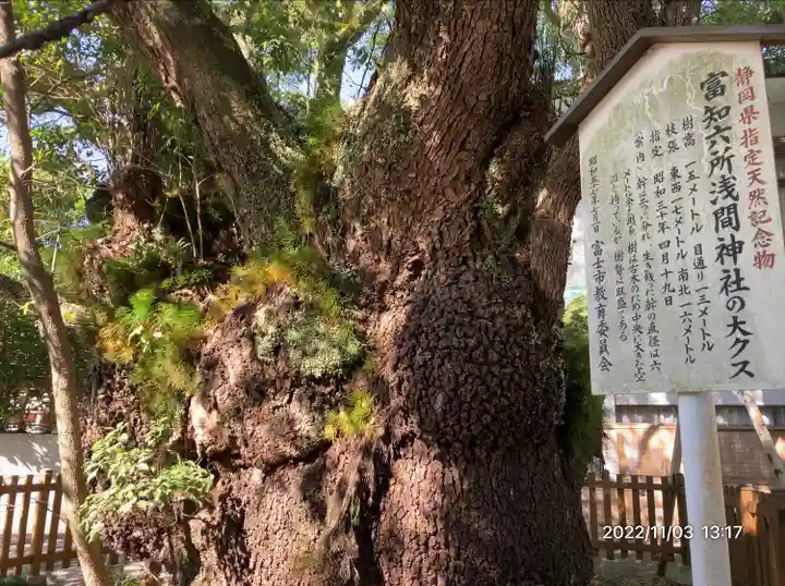 富知六所浅間神社(静岡県)
