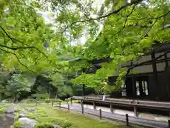 南禅院(京都府)