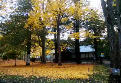 北海道神宮のその他建物