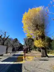 鷲宮神社の建物その他