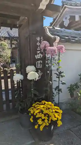 西圓寺(京都府)