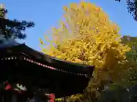 長命寺の自然