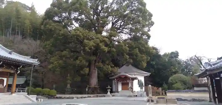 一乗寺のその他建物