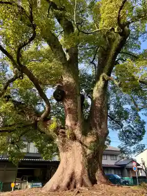 軍神社(静岡県)