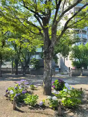 三社神社(大阪府)