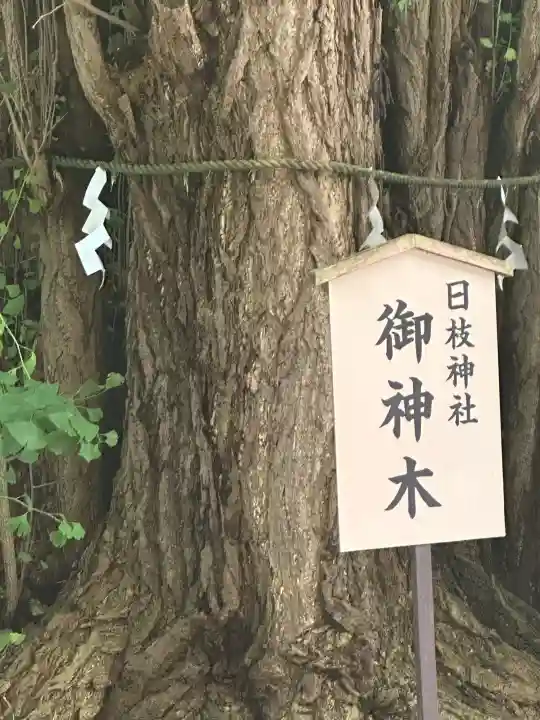 宝珠山 立石寺(山形県)