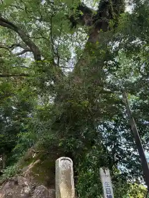 生目神社(宮崎県)