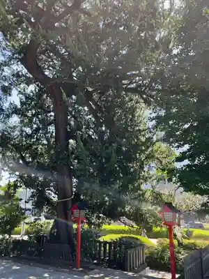 瀬戸神社(神奈川県)