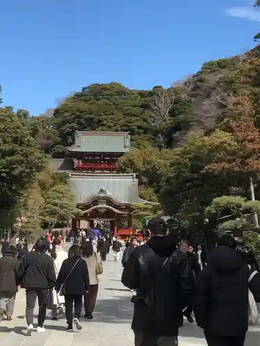 鶴岡八幡宮の景色