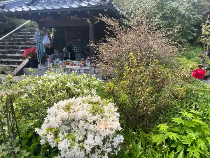 子安地蔵寺の{uncategorized: "未分類", other: "その他", undefined: "問題あり", building: "その他建物", grave: "お墓", sacred_gate: "鳥居", guardian: "狛犬", statue: "像", buddha: "仏像", history: "歴史", nature: "自然", garden: "庭園", animal: "動物", pagoda: "塔", temizu: "手水舎", mountain_gate: "山門・神門", sanctuary: "本殿・本堂", subordinate: "末社・摂社", art: "芸術", scenery: "景色", jizo: "地蔵", ema: "絵馬", goshuin: "御朱印", omikuji: "おみくじ", items: "授与品その他", amulet: "お守り", goshuincho: "御朱印帳", eats: "食事", festival: "お祭り", votive_dance: "神楽", shichigosan: "七五三参", wedding: "結婚式", experience: "体験その他", initially: "初詣", around: "周辺", anti_infection: "感染症対策"}