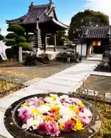 真言宗 善通寺派 薬王寺(香川県)