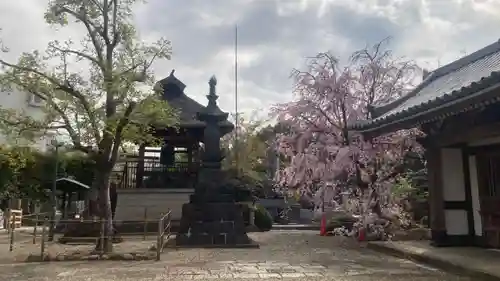 禪定院(東京都)