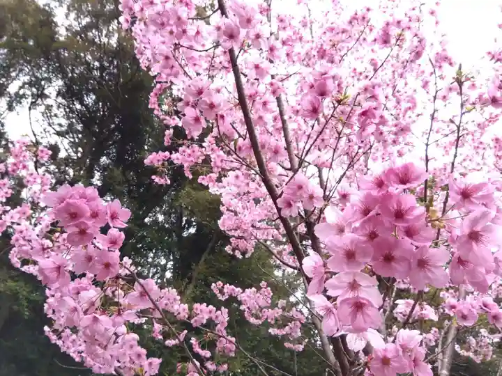 熊野若王子神社(京都府)