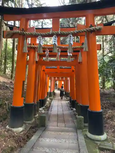 伏見稲荷大社の鳥居