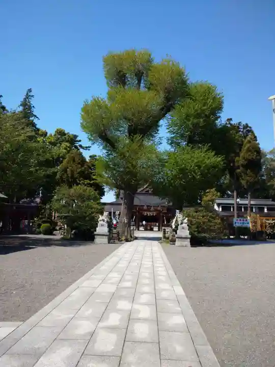 亀ケ池八幡宮のその他建物
