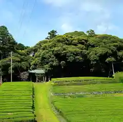 八幡神社(静岡県)