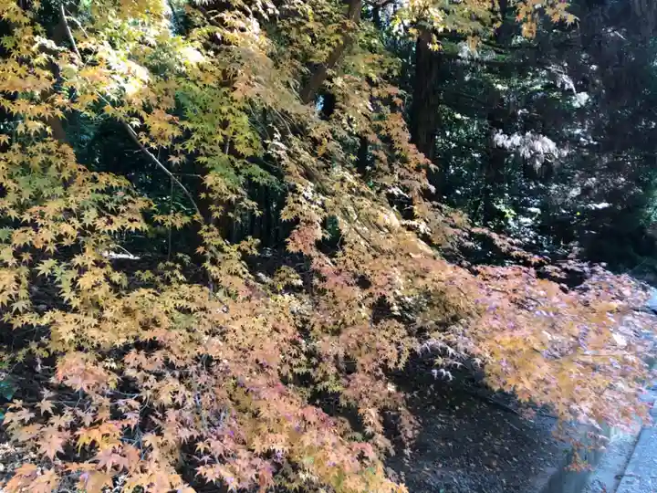 橿原神宮の自然