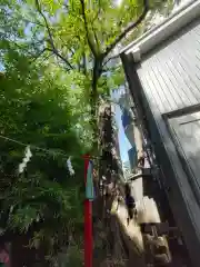 東神奈川熊野神社(神奈川県)