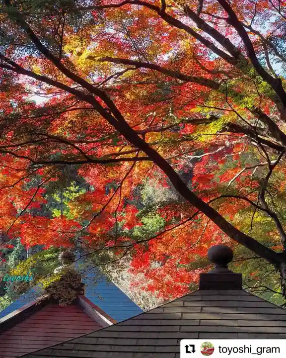 普門寺(切り絵御朱印発祥の寺)の自然