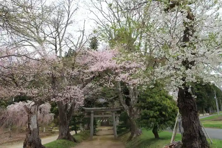 白幡八幡神社の鳥居