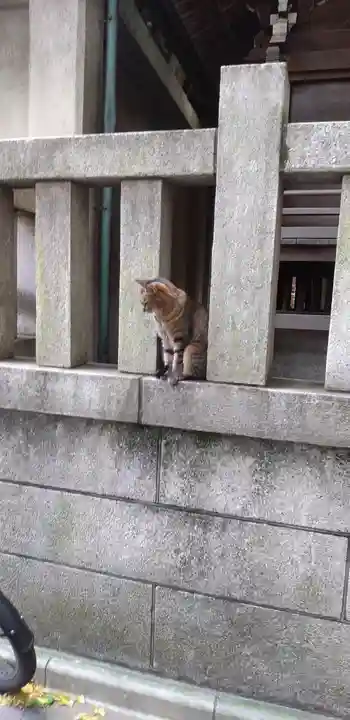 小野照崎神社の動物