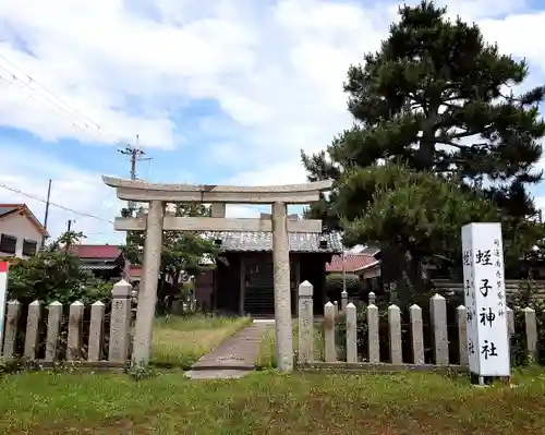 蛭子神社の鳥居