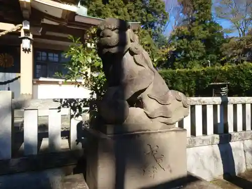 北新羽杉山神社の狛犬