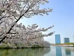 豊國神社の自然