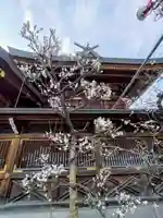 湯島天満宮(東京都)